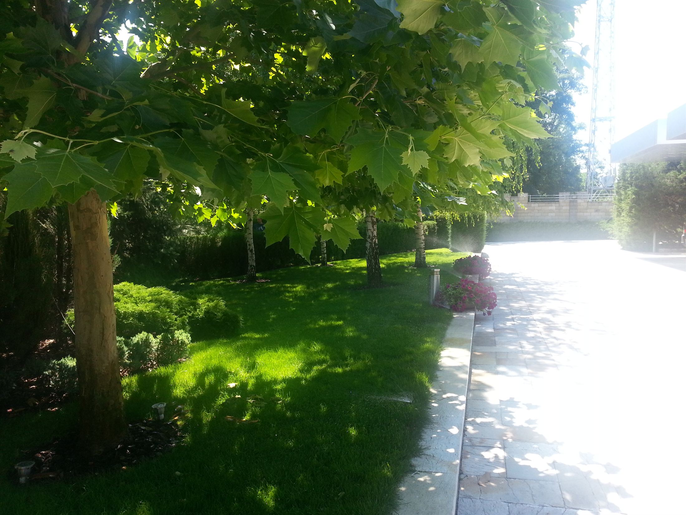 SunRay Resort&Spa, фото 1