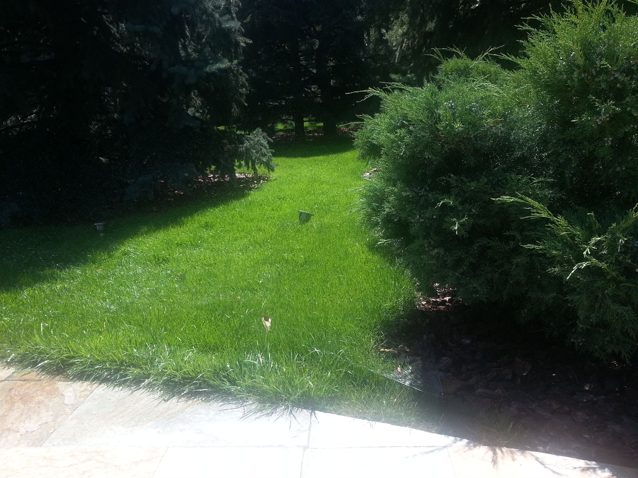 SunRay Resort&Spa, фото 3