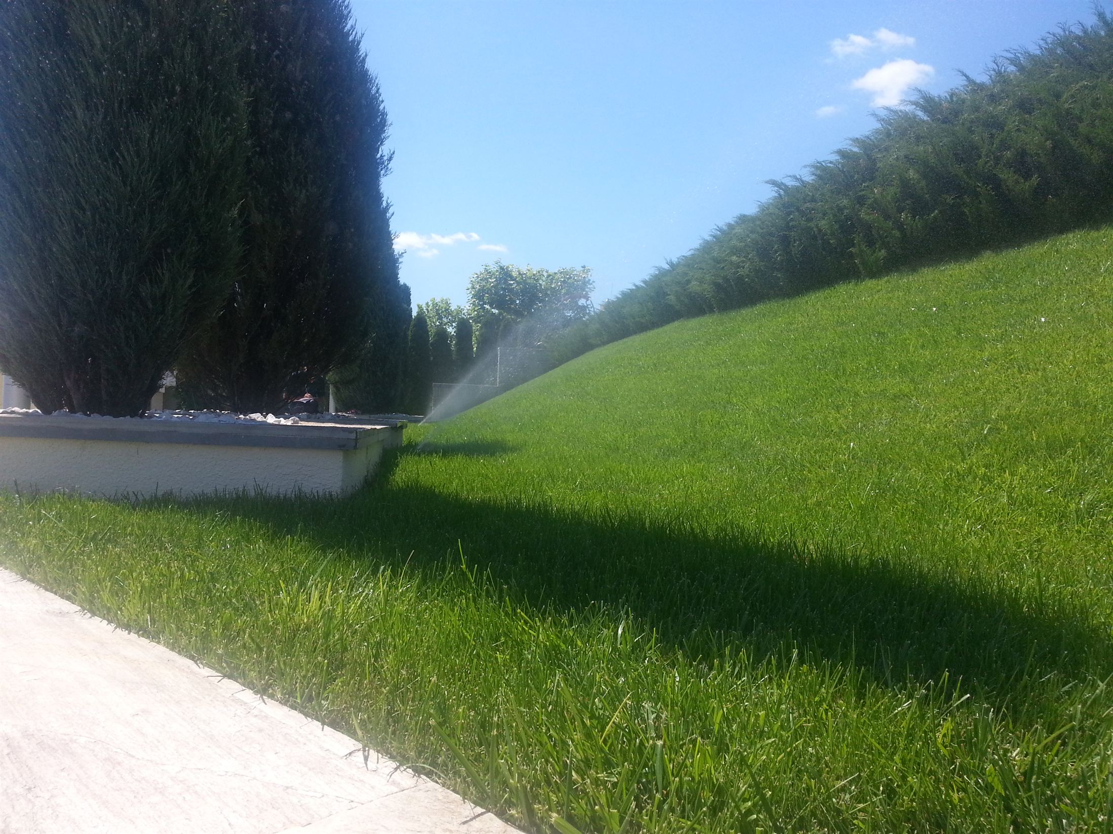 SunRay Resort&Spa, фото 7